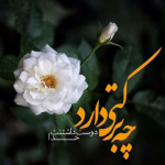 yazahra_57