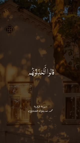استاد منشاوی