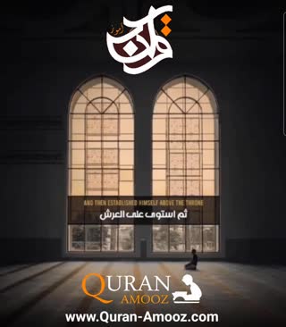 استاد محمود شحات انور