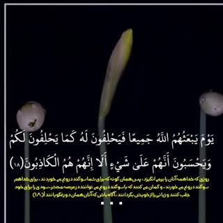 استاد مرحوم عنتر سعید مسلم