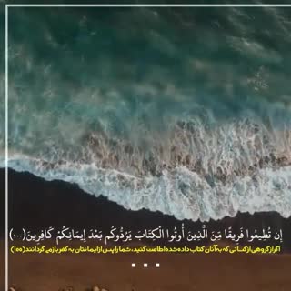 استاد محمد شحات انور