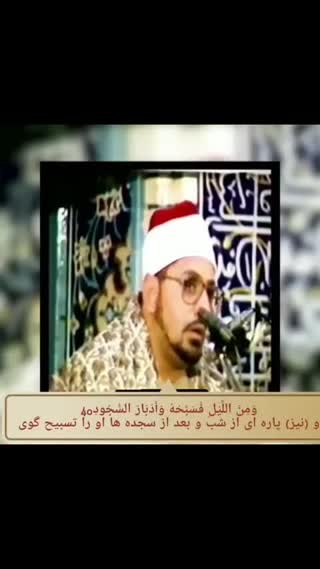 استاد محمد شحات انور