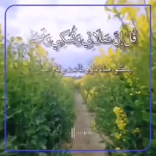 تلاوت شنیدنی با صدای استاد غلوش