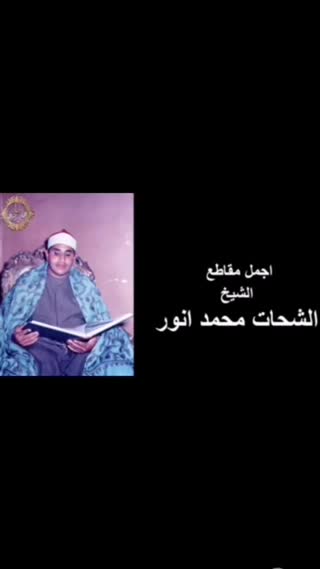 استاد محمد شحات انور