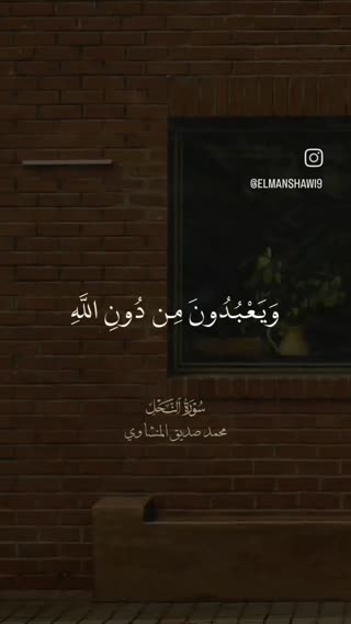 استاد صدیق منشاوی