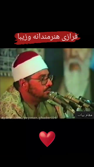 استاد محمد شحات انور