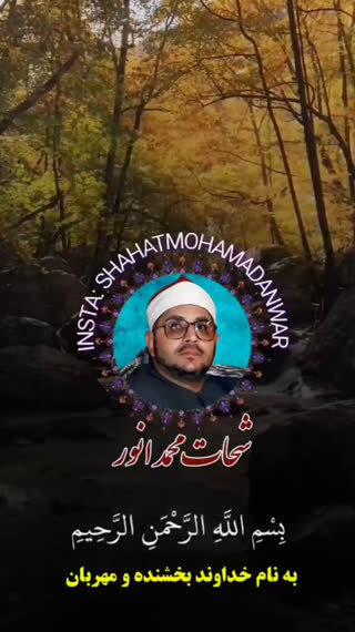 استاد محمد شحات انور