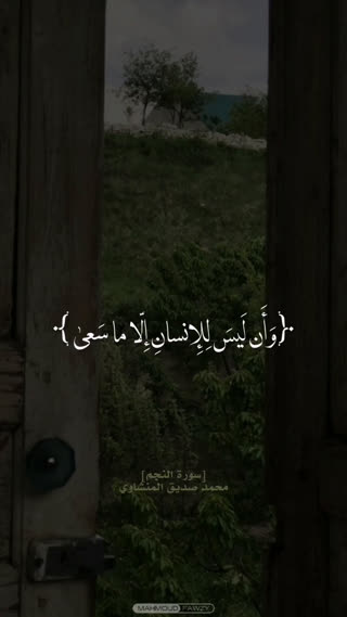 استاد محمد صدیق المنشاوی