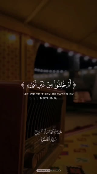 استاد محمد صدیق المنشاوی