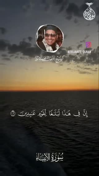 استاد محمد شحات انور