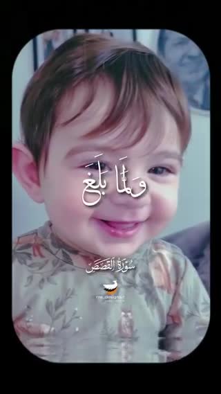 استاد محمود الشحات