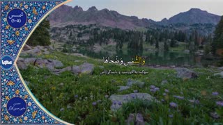 قطعه‌ای از تلاوت شنیدنی شهید «محسن حاجی‌حسنی کارگر»