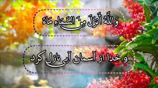 تلاوتی بسیار زیبا