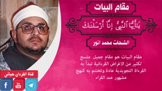 استاد محمد شحات انور