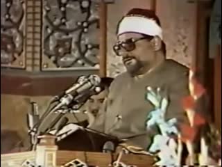 سید متولی عبدالعال