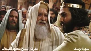 شحات انور